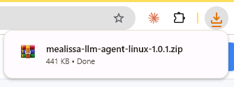 Browser showing the completed Linux agent download